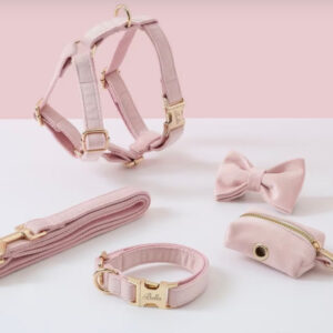 Luxury Pink Velvet Personalized Dog Collar & Harness – 5-Piece Set