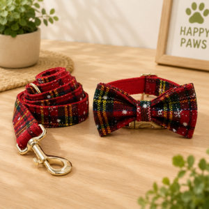 Personalised Dog Collar and Leash - Christmas set